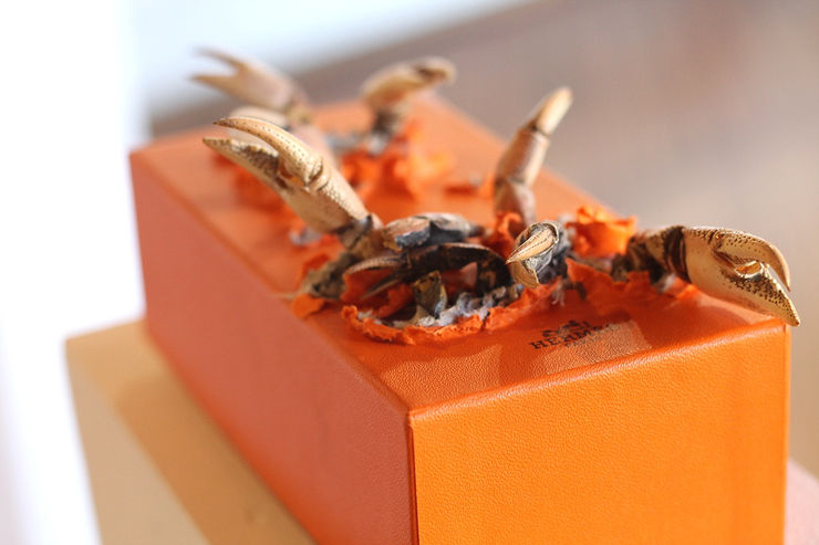 Armando De La Garza 6015 Copia