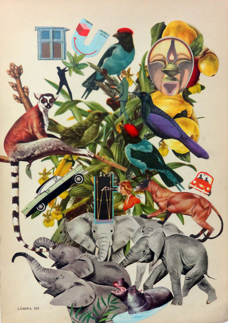 Mauricio Garrido El Iman