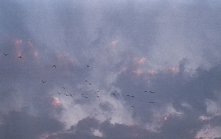 Congelada 01 Pa Jaros Florencia Serrano