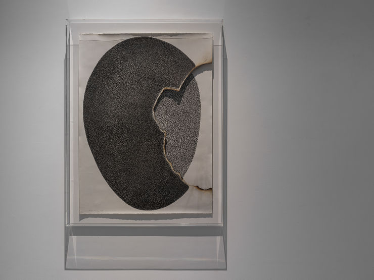 Ayyam Firesedge 151125 011