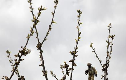 Sama Alshaibi at California Institute of Integral Studies