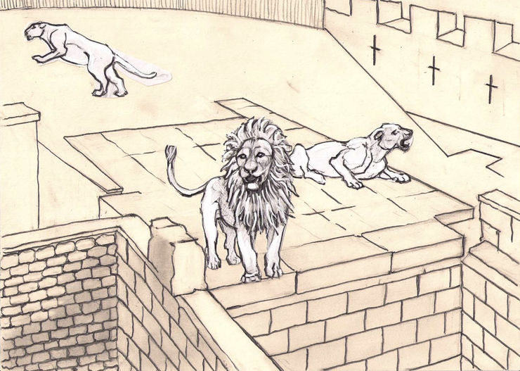 Lionsdraw1