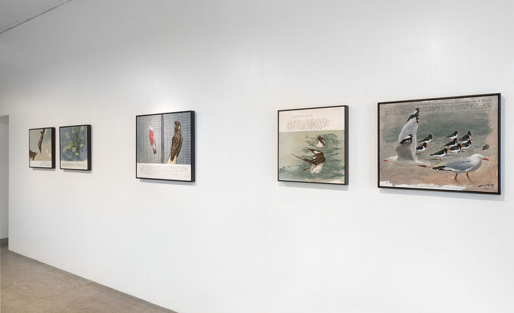 Ray Ching exhibition titled Fabled Lands