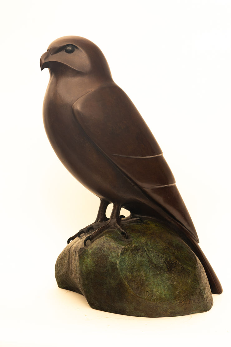 Josh Olley, Karearea, 2023