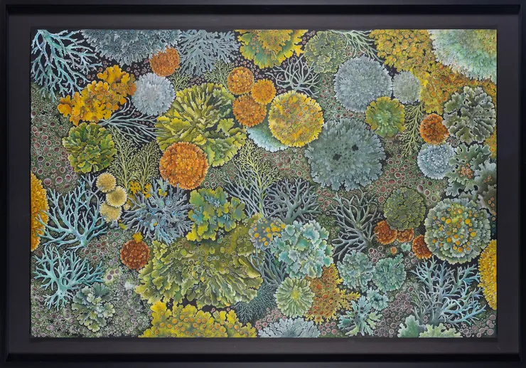 Nicky Foreman Cloak, 2026 Pencil on archival paper, framed with Museum glass 76 x 109 cm (framed) 63 x 96 cm (unframed)