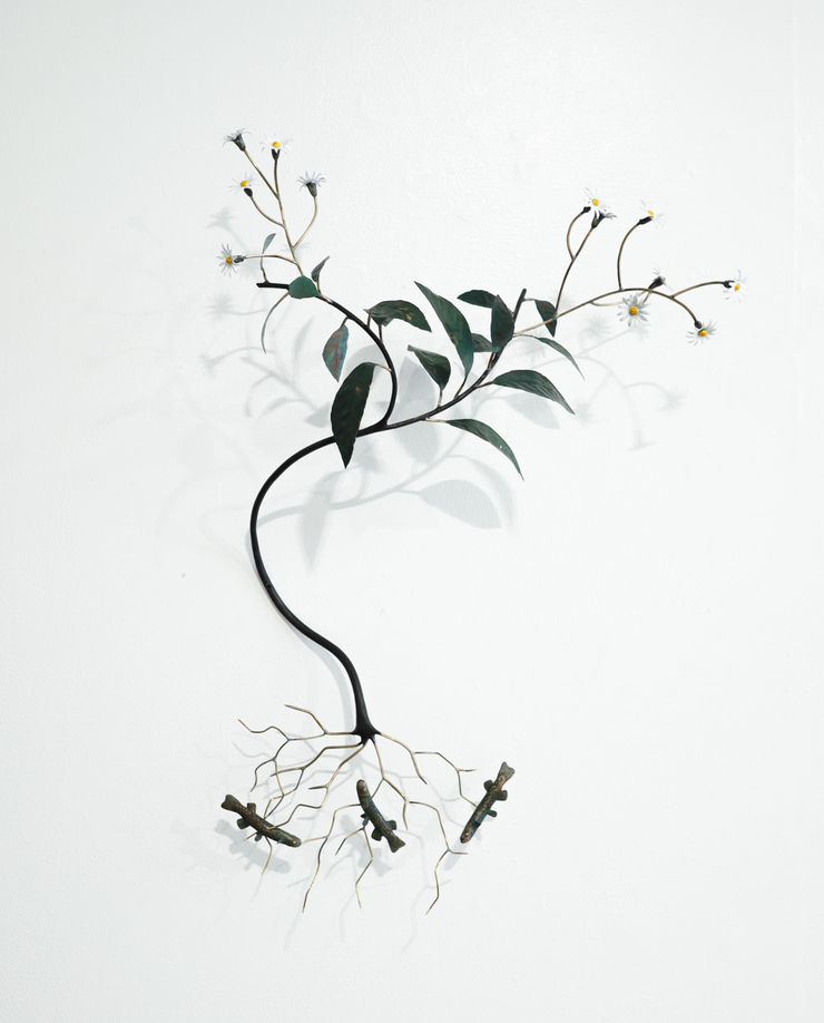 Bing Dawe, A Night Sky under a Night Sky - Galaxiidae with Stream-side Daisy, 2023