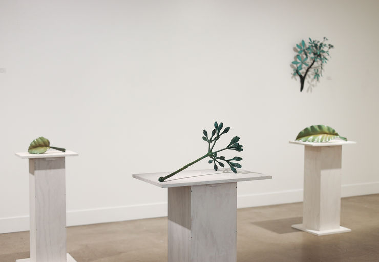 Jim Wheeler Following Nature