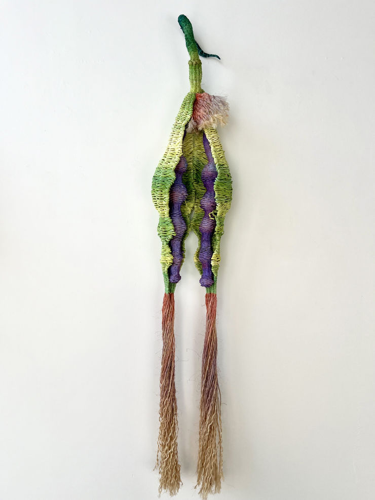 Kathie Halfin , MATURED, 2024