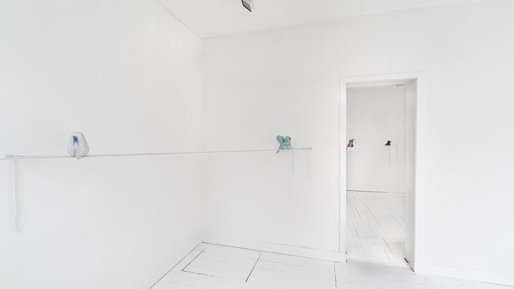 Enseoul Installs 17 10 24 Bvvphotography Wr 3 Website