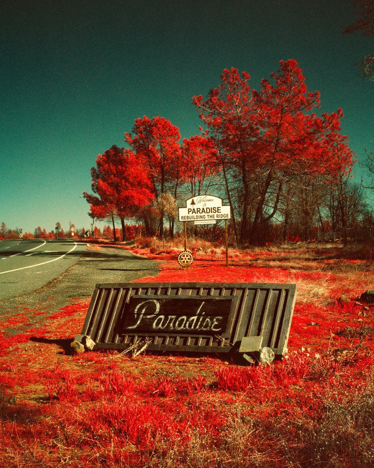 Maxime Riché - Paradise, from the series Paradise, 2020