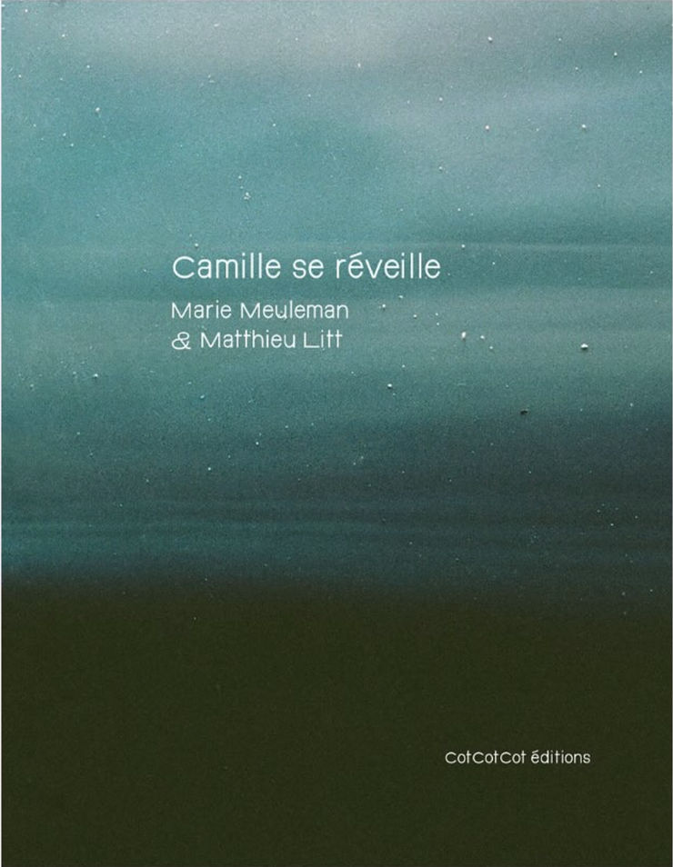 Matthieu Litt / Publication of "Camille se réveille"