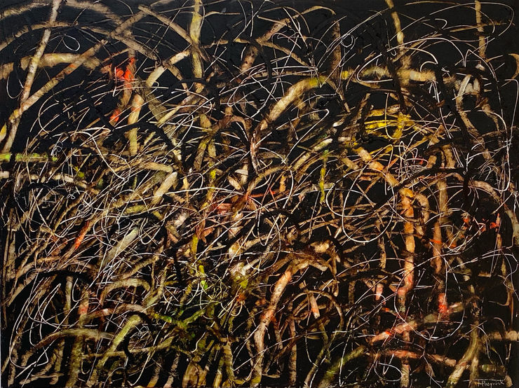 Test Category - Posyniak Tangles Series