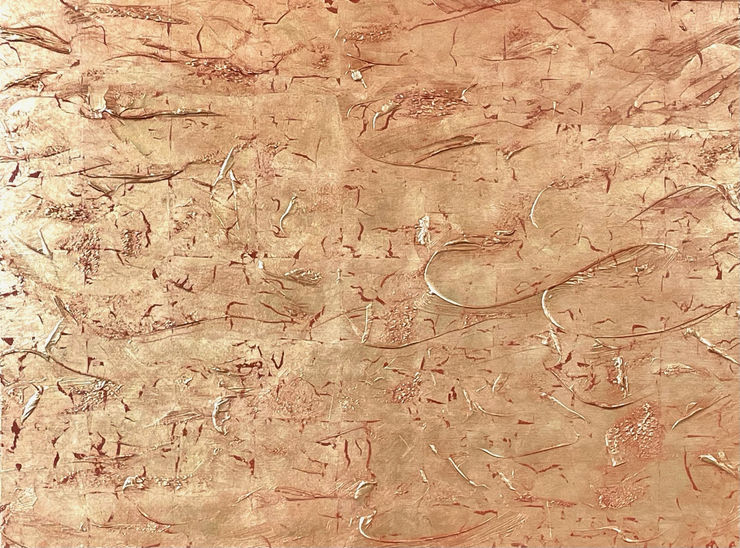 Debra Van Tuinen, Light Revealed, 2024