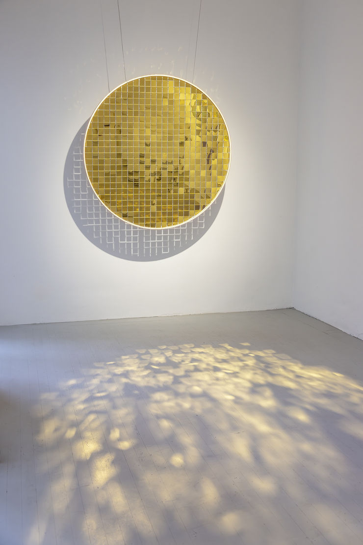 Mg 0072 Verbessert Nr