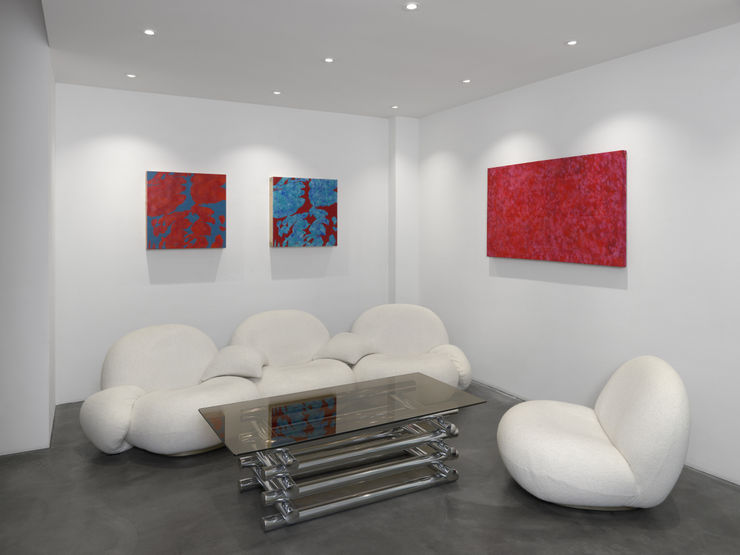 Anderson Gmb Body And Blood Installation Shot 05