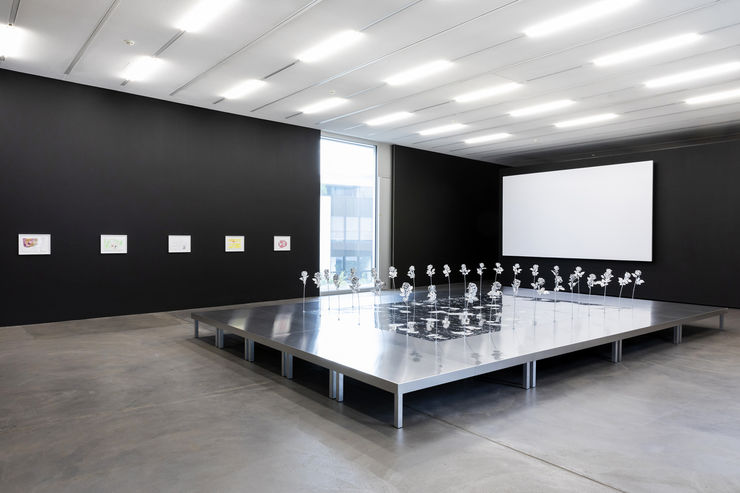 Sitara Abuzar Ghaznawi Luma Westbau Nellyrodriguez 0514