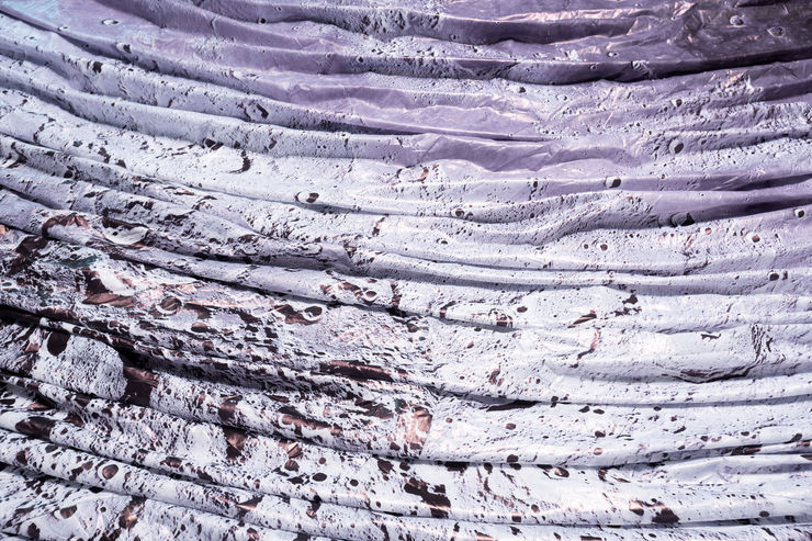 Mitchell Anderson Dsc3308