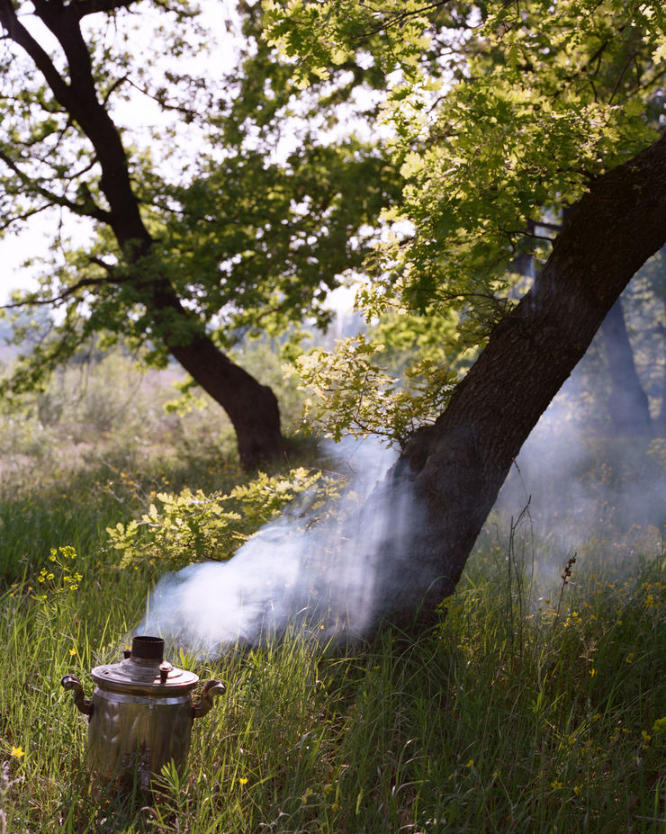 Nick Rosenoer, Samovar, 2025