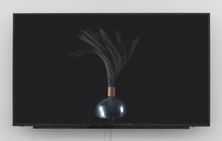 CRAIG MULHOLLAND Function Creeps, 2025 Mixed media installation, HD video and sound 10 min Dimensions variable