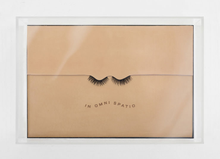 CRAIG MULHOLLAND In Omni Spatio, 2025 Engraved leather, eyelashes, perspex 5 x 30 x 20cm