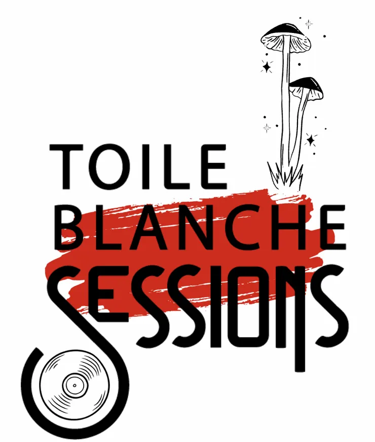 Toile Blanche Session 2