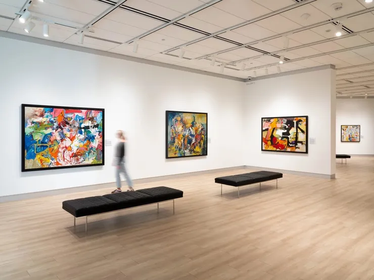 Installation view at the Muscarelle Museum of Art