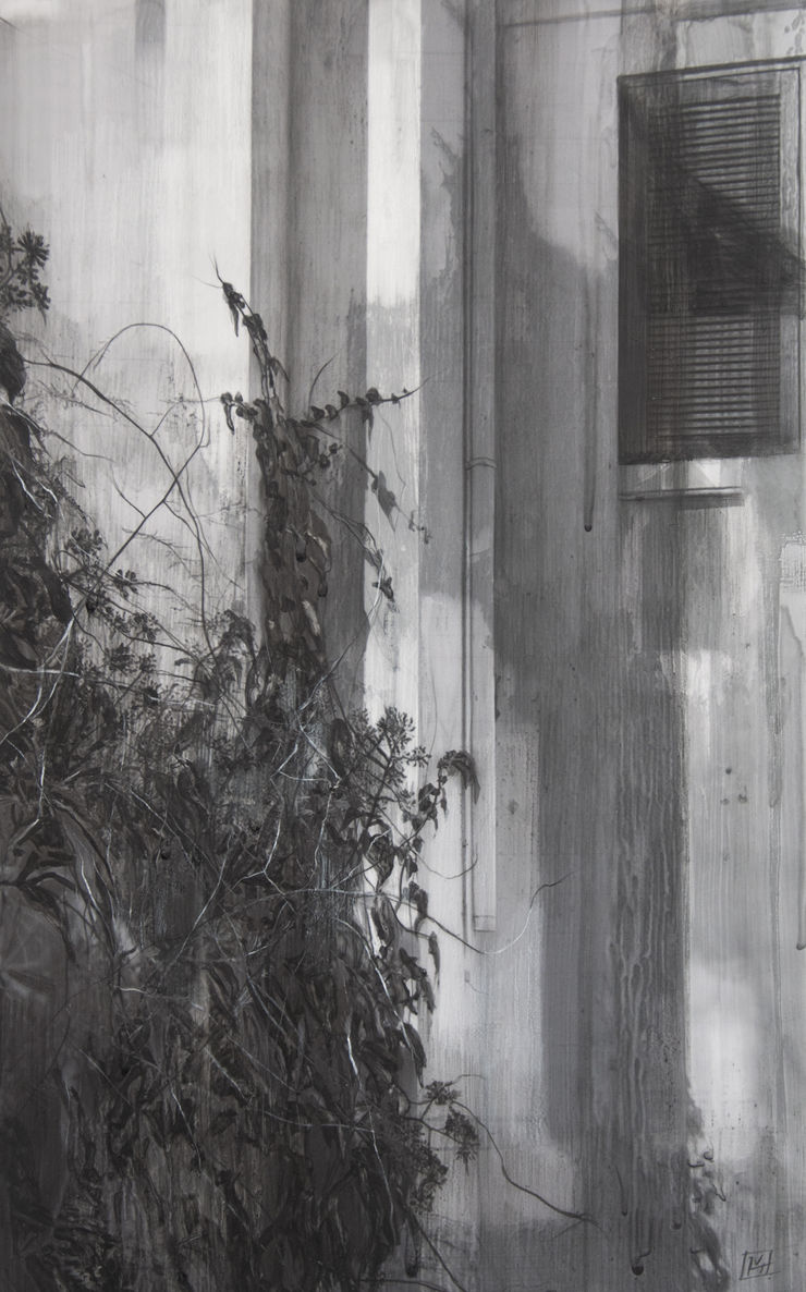 Serie Apegos Feroces, 2025