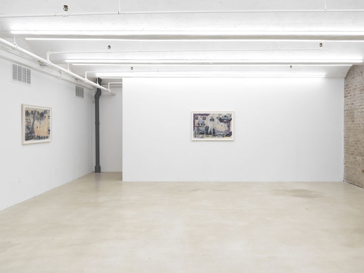 Daylily 2022 07 3000Px