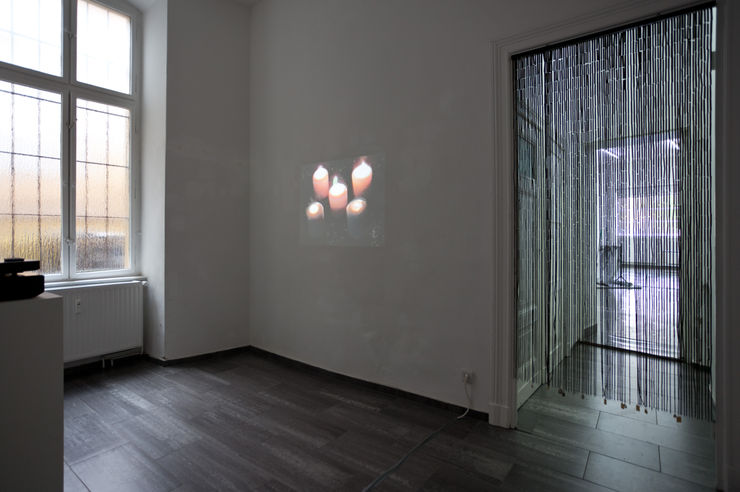 Softlaminate 2011 05 300Ppi