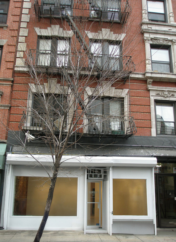 237 Eldridge Street, Lower East Side, New York City (2006)
