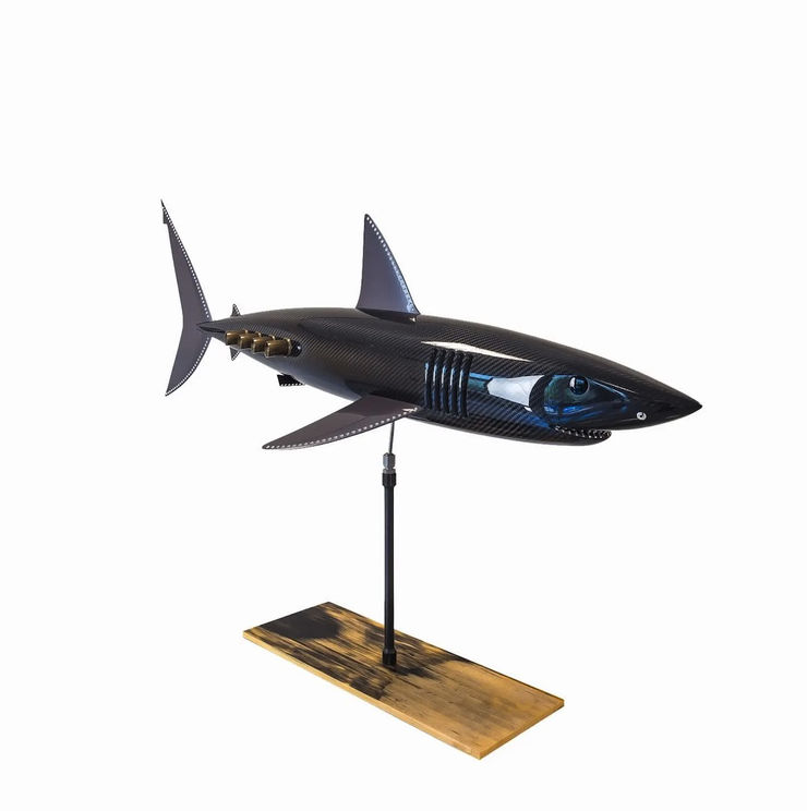 Alastair Gibson - J MAKO (BLUE TINTED)