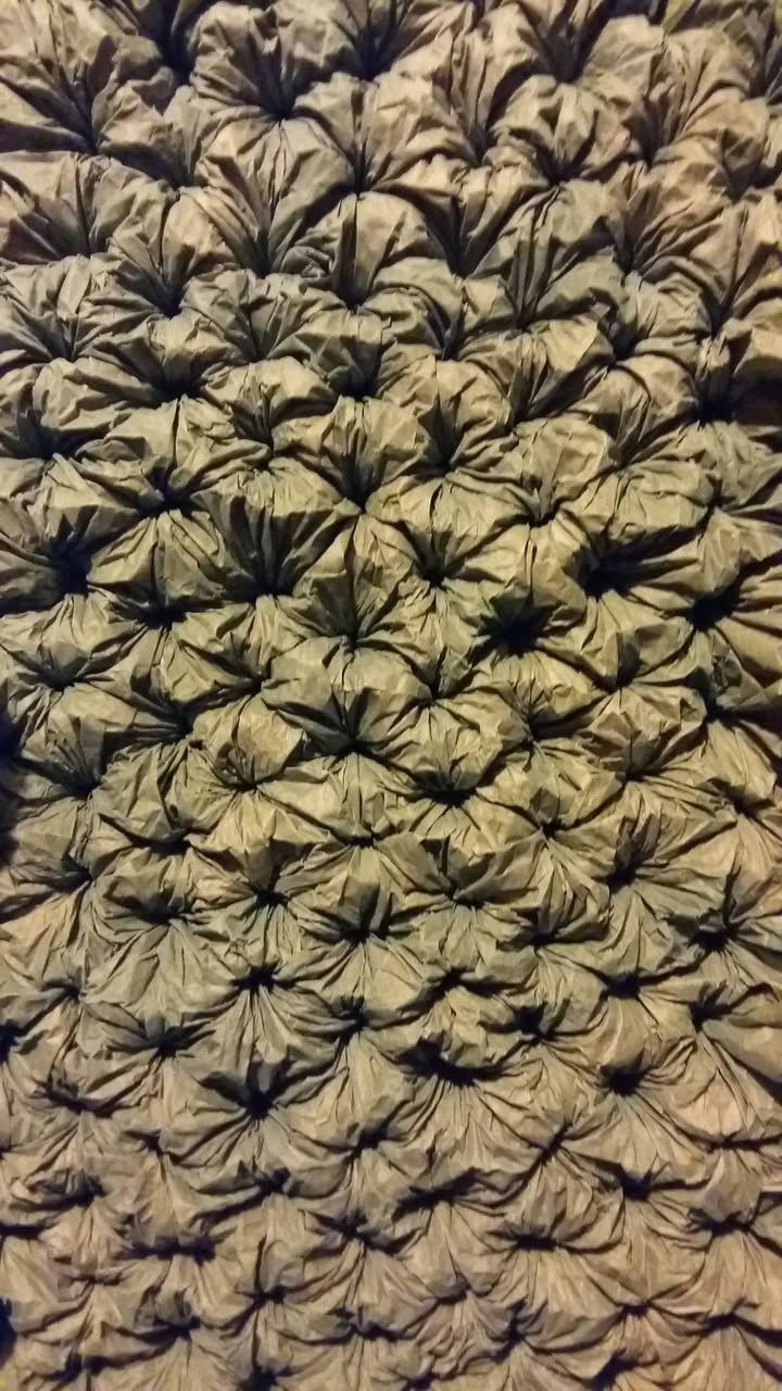 498545975 3786973631594457 7797329128156325961 N