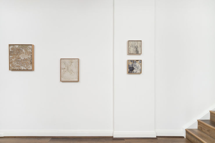 Imbue 2400Px 20250619 788