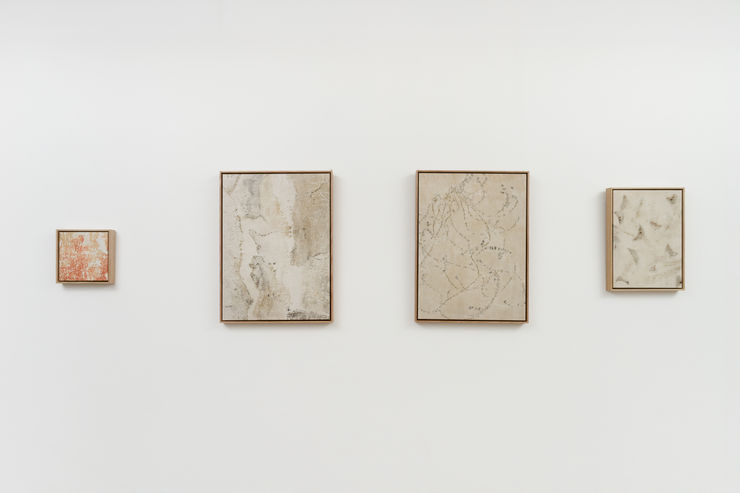 Imbue 24Mp 20250619 786