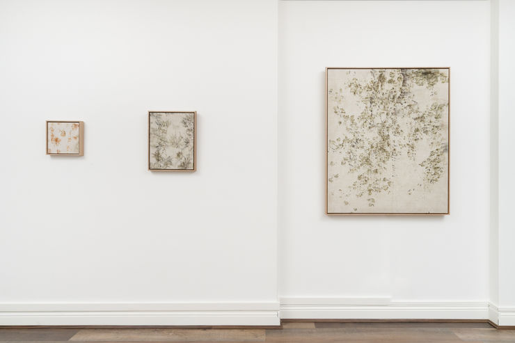 Imbue 24Mp 20250619 787