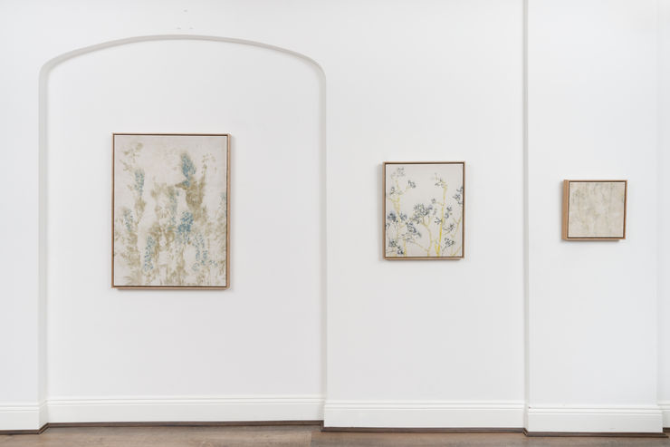 Imbue 24Mp 20250619 790