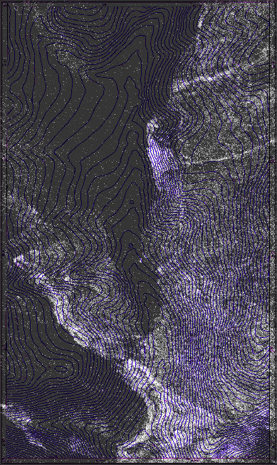 British Journal of Photography | 10 Questions with Holly Roussell, curator of this year’s Curiosa sector at Paris Photo