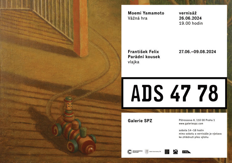 Moemi Yamamoto v SPZ Gallery