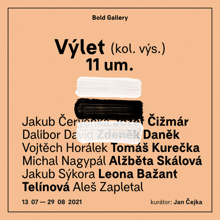 Kolektivní výstava: VÝLET