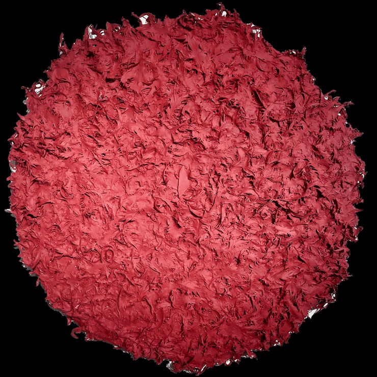 Gregory Coates, Tabasco Series, Civil Rights, 2019