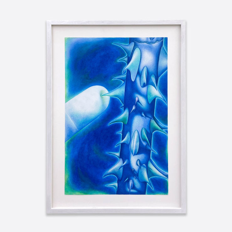 Signe Ralkov Baggrund