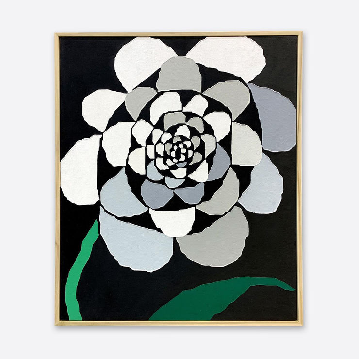 75231151 160783525149761 2855195380160473747 N