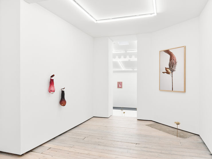 2024 09 05 Brookebenington 075