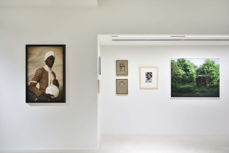 Regards hors-champ et paysages - Collection Agnès b.