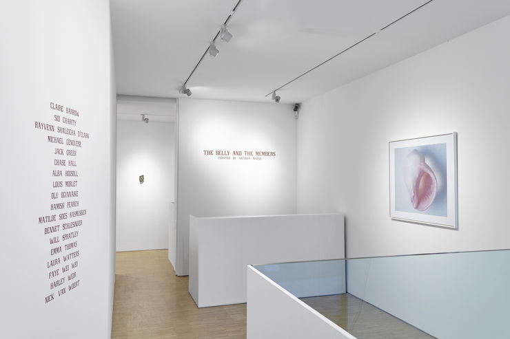 Cob Belly 4 Sep 2017 1