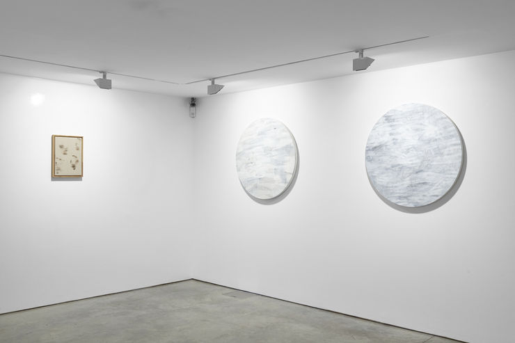 Cob Belly 4 Sep 2017 10