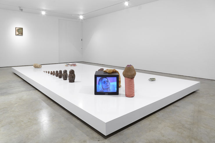 Cob Belly 4 Sep 2017 14