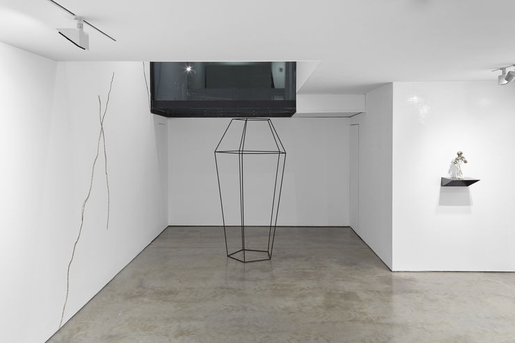 Cob Belly 4 Sep 2017 6