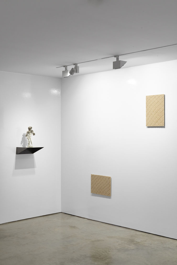 Cob Belly 4 Sep 2017 7