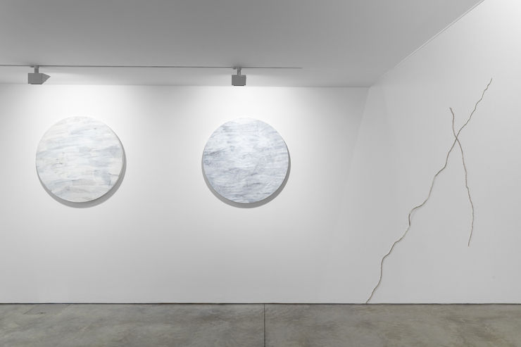 Cob Belly 4 Sep 2017 8